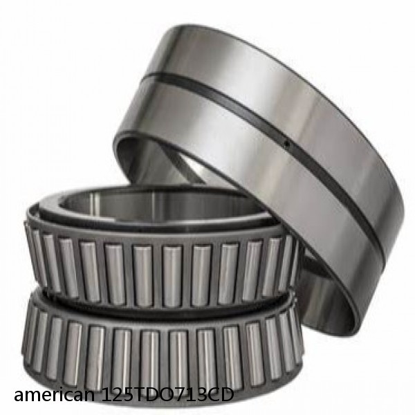 american 125TDO713CD DOUBLE ROW TAPERED ROLLER TDO BEARING