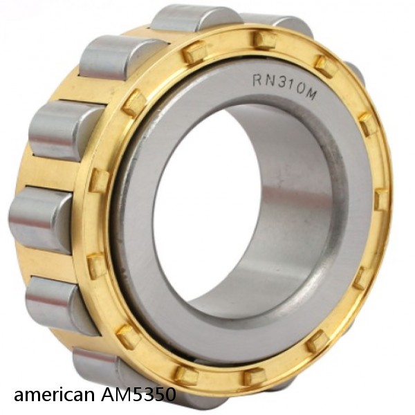 american AM5350 SINGLE ROW CYLINDRICAL ROLLER BEARING