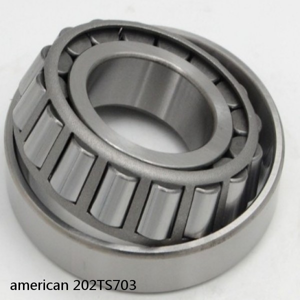 american 202TS703 SINGLE ROW TAPERED ROLLER BEARING