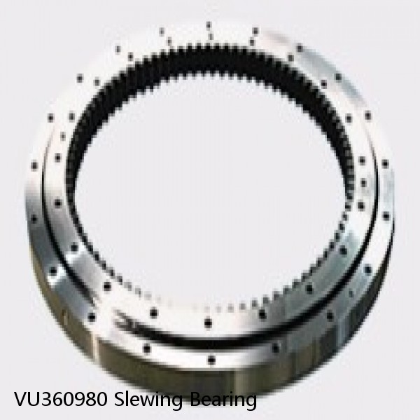 VU360980 Slewing Bearing