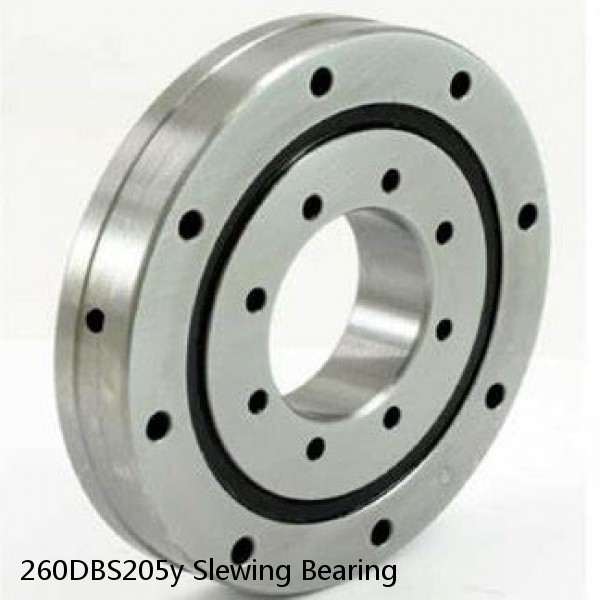 260DBS205y Slewing Bearing