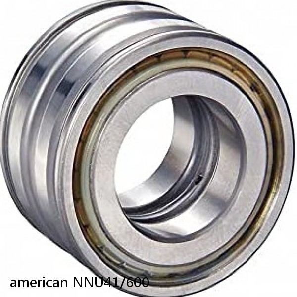 american NNU41/600 DOUBLE CYLINDRICALROW BEARING #1 small image