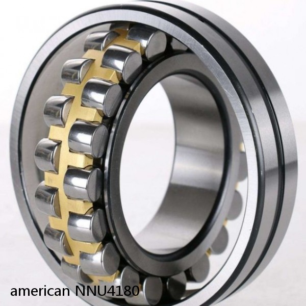 american NNU4180 DOUBLE CYLINDRICALROW BEARING #1 small image
