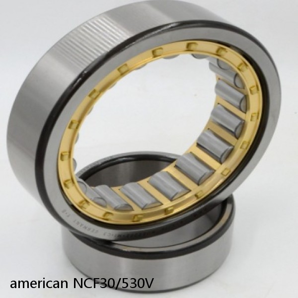 american NCF30/530V FULL SINGLE CYLINDRICAL ROLLER BEARING #1 small image