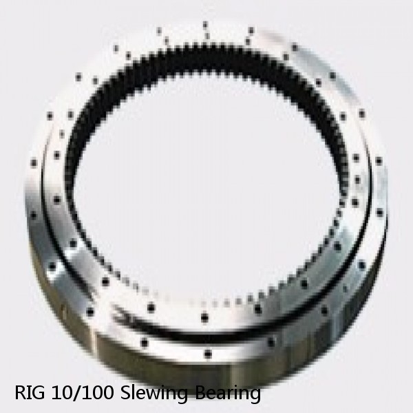 RIG 10/100 Slewing Bearing