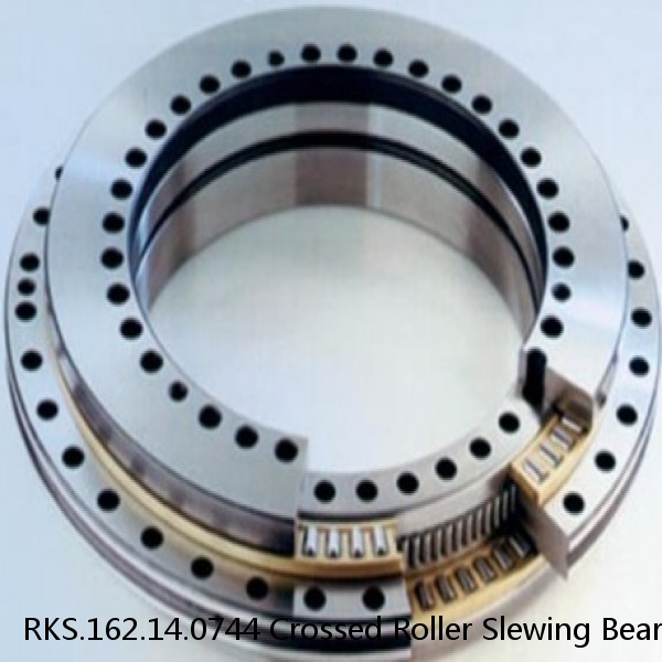 RKS.162.14.0744 Crossed Roller Slewing Bearing Price #1 small image