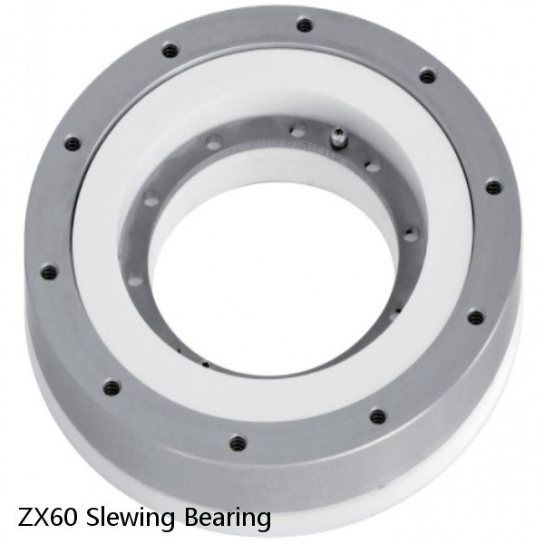 ZX60 Slewing Bearing #1 small image