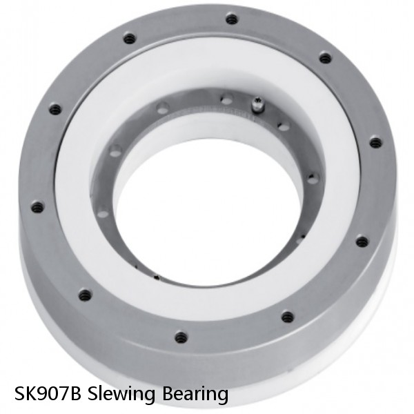 SK907B Slewing Bearing #1 small image