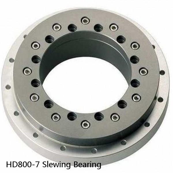 HD800-7 Slewing Bearing #1 small image