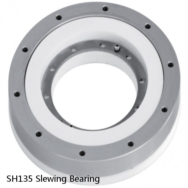 SH135 Slewing Bearing #1 small image