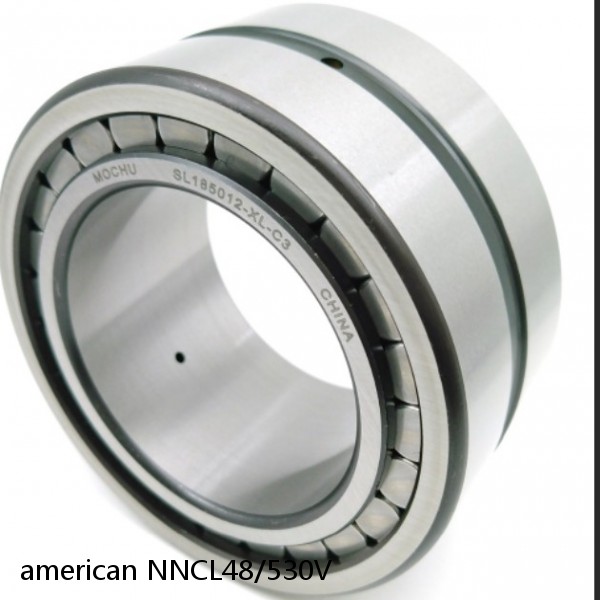 american NNCL48/530V FULL DOUBLE CYLINDRICAL ROLLER BEARING #1 image