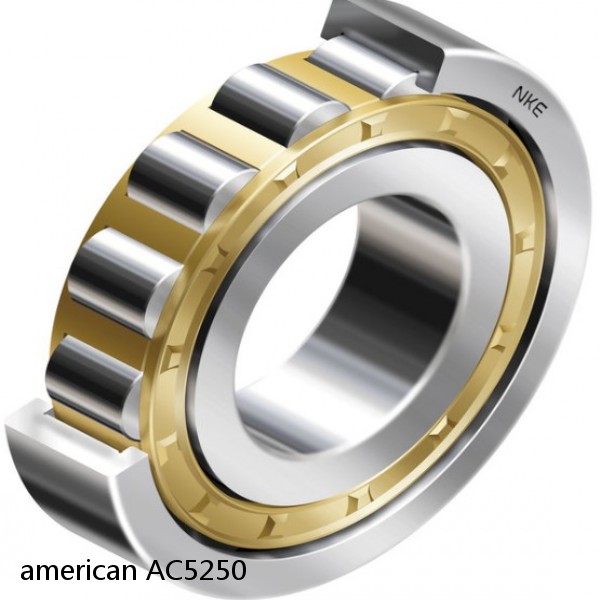 american AC5250 SINGLE ROW CYLINDRICAL ROLLER BEARING #1 image