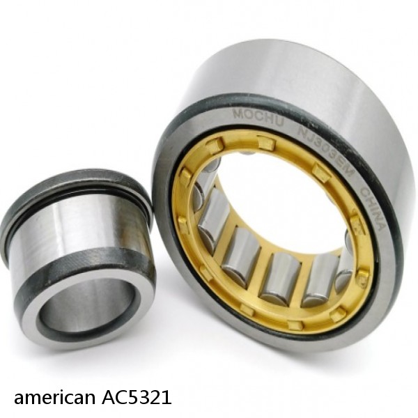 american AC5321 SINGLE ROW CYLINDRICAL ROLLER BEARING #1 image