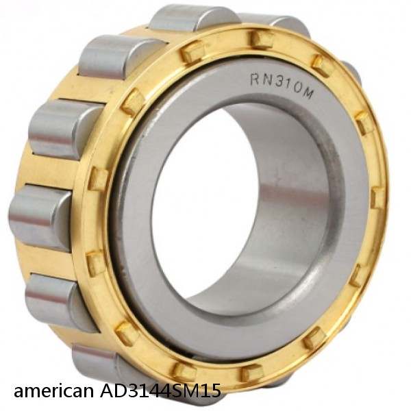 american AD3144SM15 SINGLE ROW CYLINDRICAL ROLLER BEARING #1 image