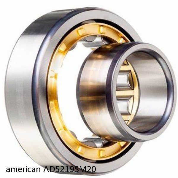 american AD5219SM20 SINGLE ROW CYLINDRICAL ROLLER BEARING #1 image