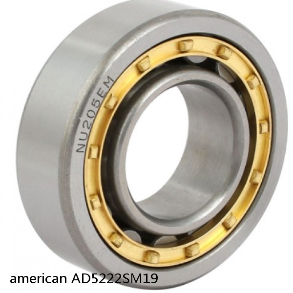 american AD5222SM19 SINGLE ROW CYLINDRICAL ROLLER BEARING #1 image