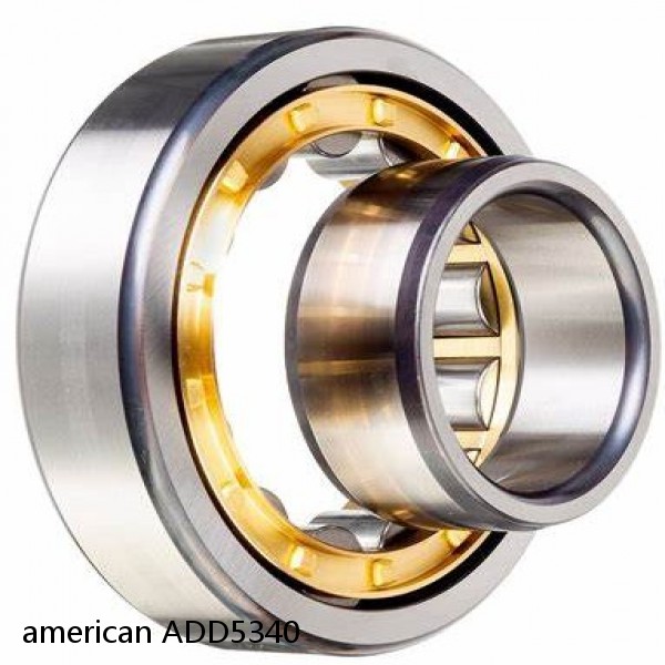american ADD5340 SINGLE ROW CYLINDRICAL ROLLER BEARING #1 image