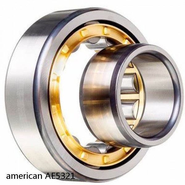 american AE5321 SINGLE ROW CYLINDRICAL ROLLER BEARING #1 image