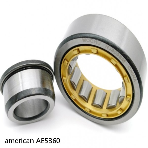 american AE5360 SINGLE ROW CYLINDRICAL ROLLER BEARING #1 image