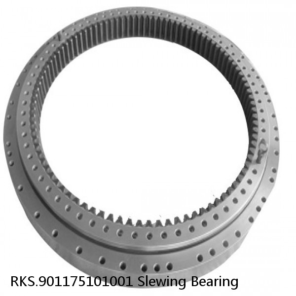 RKS.901175101001 Slewing Bearing #1 image