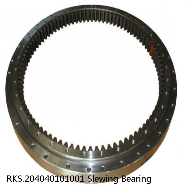RKS.204040101001 Slewing Bearing #1 image