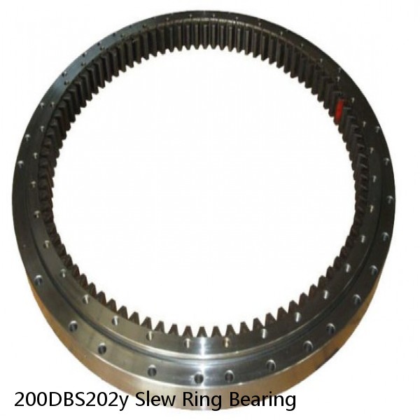 200DBS202y Slew Ring Bearing #1 image