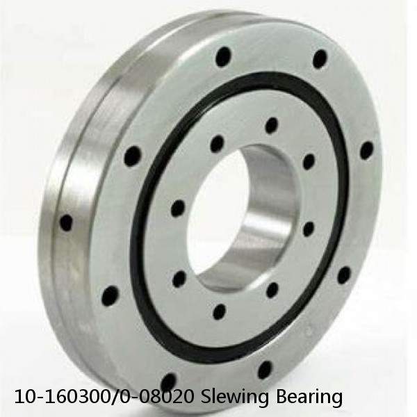 10-160300/0-08020 Slewing Bearing #1 image