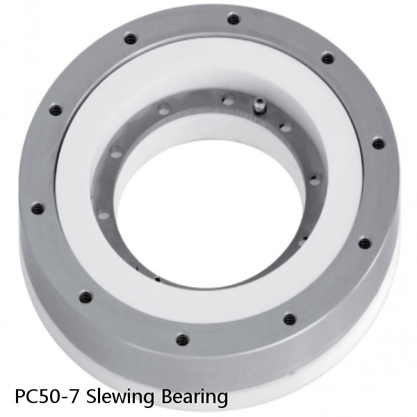PC50-7 Slewing Bearing #1 image