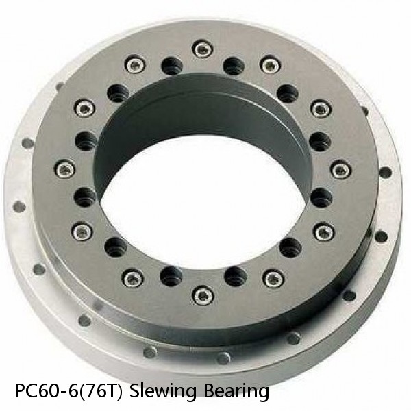 PC60-6(76T) Slewing Bearing #1 image