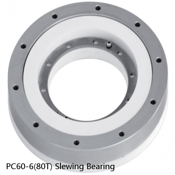 PC60-6(80T) Slewing Bearing #1 image
