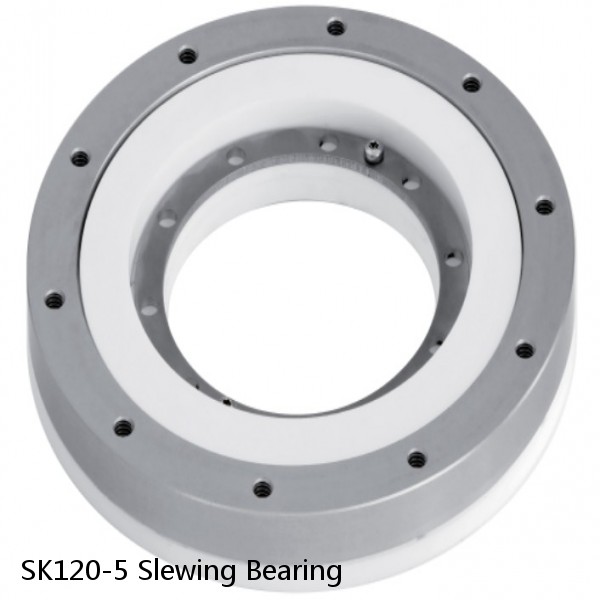 SK120-5 Slewing Bearing #1 image