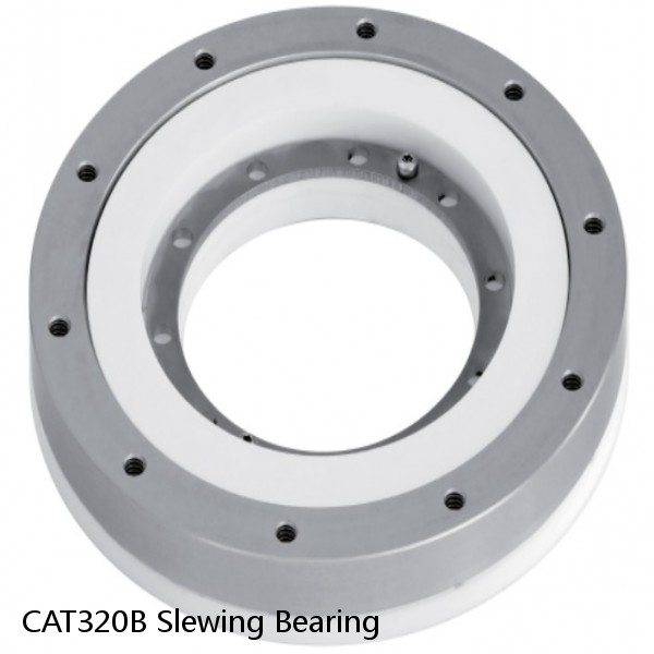 CAT320B Slewing Bearing #1 image