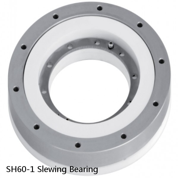 SH60-1 Slewing Bearing #1 image