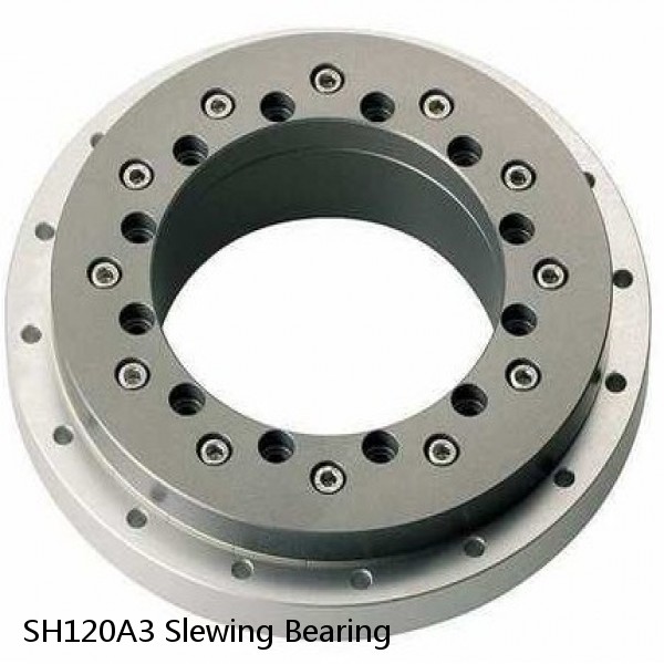 SH120A3 Slewing Bearing #1 image