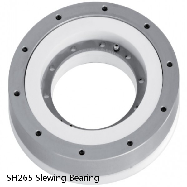 SH265 Slewing Bearing #1 image