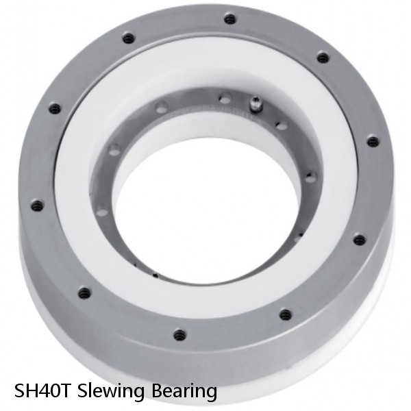 SH40T Slewing Bearing #1 image